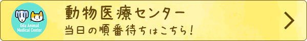 動物医療センター 当日の順番待ち予約はこちら