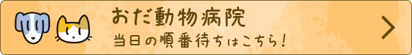 おだ動物病院 当日の順番待ち予約はこちら