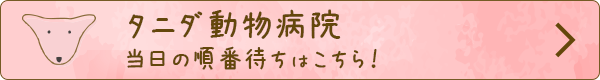 タニダ動物病院 当日の順番待ち予約はこちら
