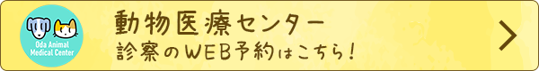 動物医療センター 診療WEB予約はこちら