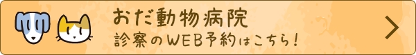 おだ動物病院 診療WEB予約はこちら