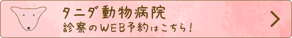 タニダ動物病院 診療WEB予約はこちら