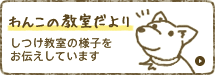 [わんこの教室だより]しつけ教室の様子をお伝えしています