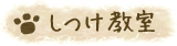 しつけ教室 しつけ教室