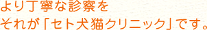 より丁寧な診察を それが「セト犬猫クリニック」です。